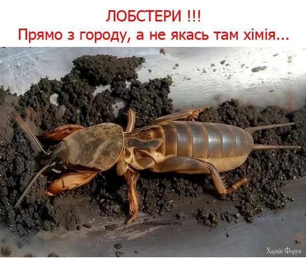 20250519_173328.webp