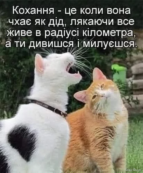 20250604_193747.webp