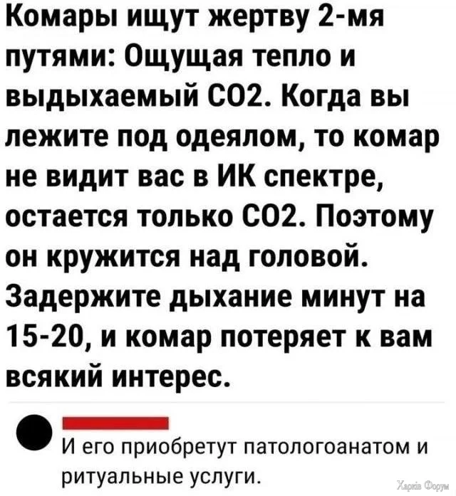 20250606_202830.webp