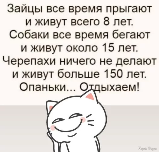 20250611_111827.webp