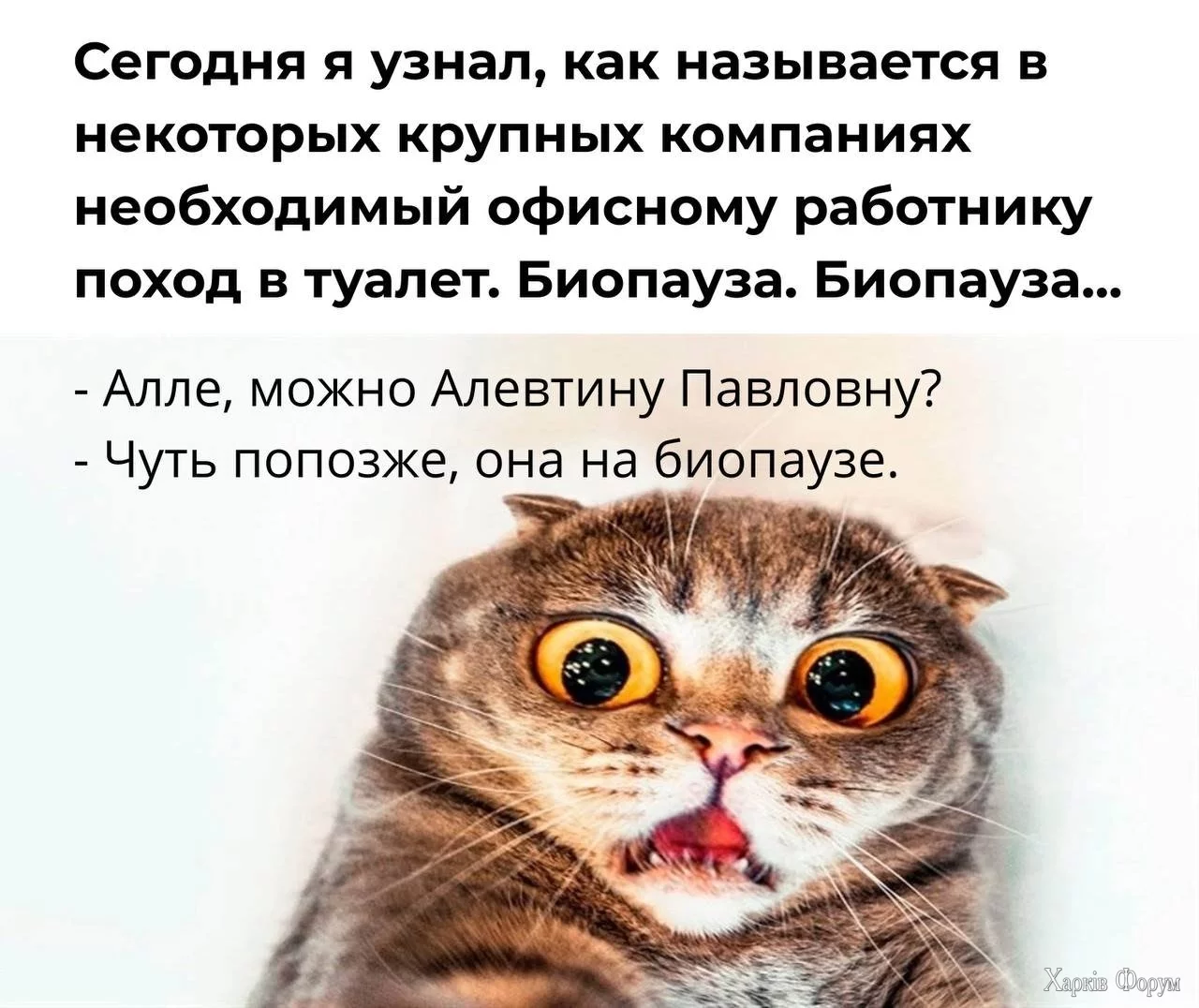 20250614_101607.webp