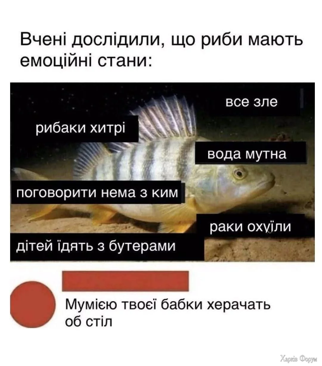 20250614_120741.webp