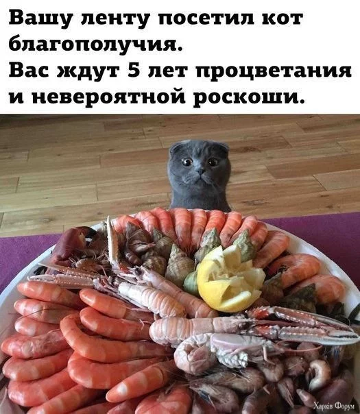 20250616_072007.webp