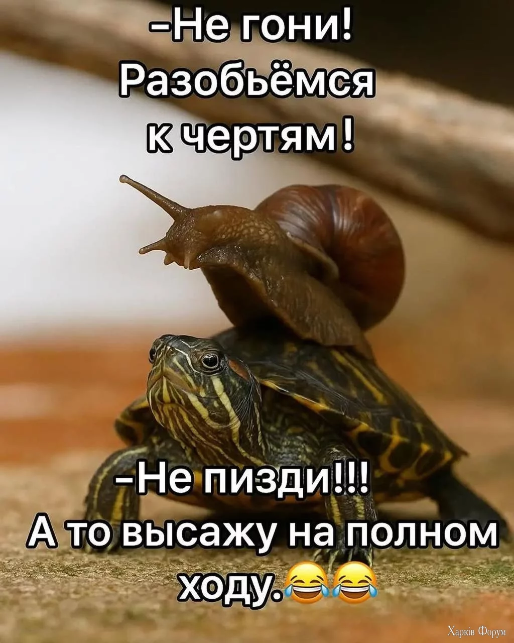 20250617_201409.webp