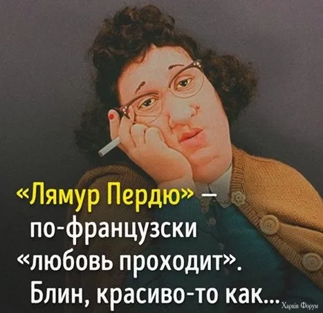 20250620_165116.jpg