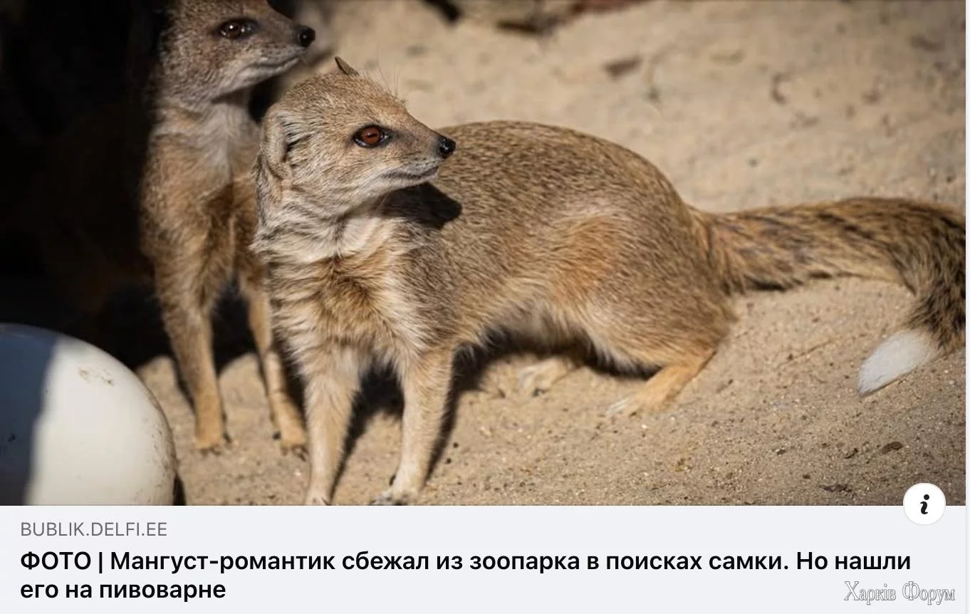 20250625_103032.webp