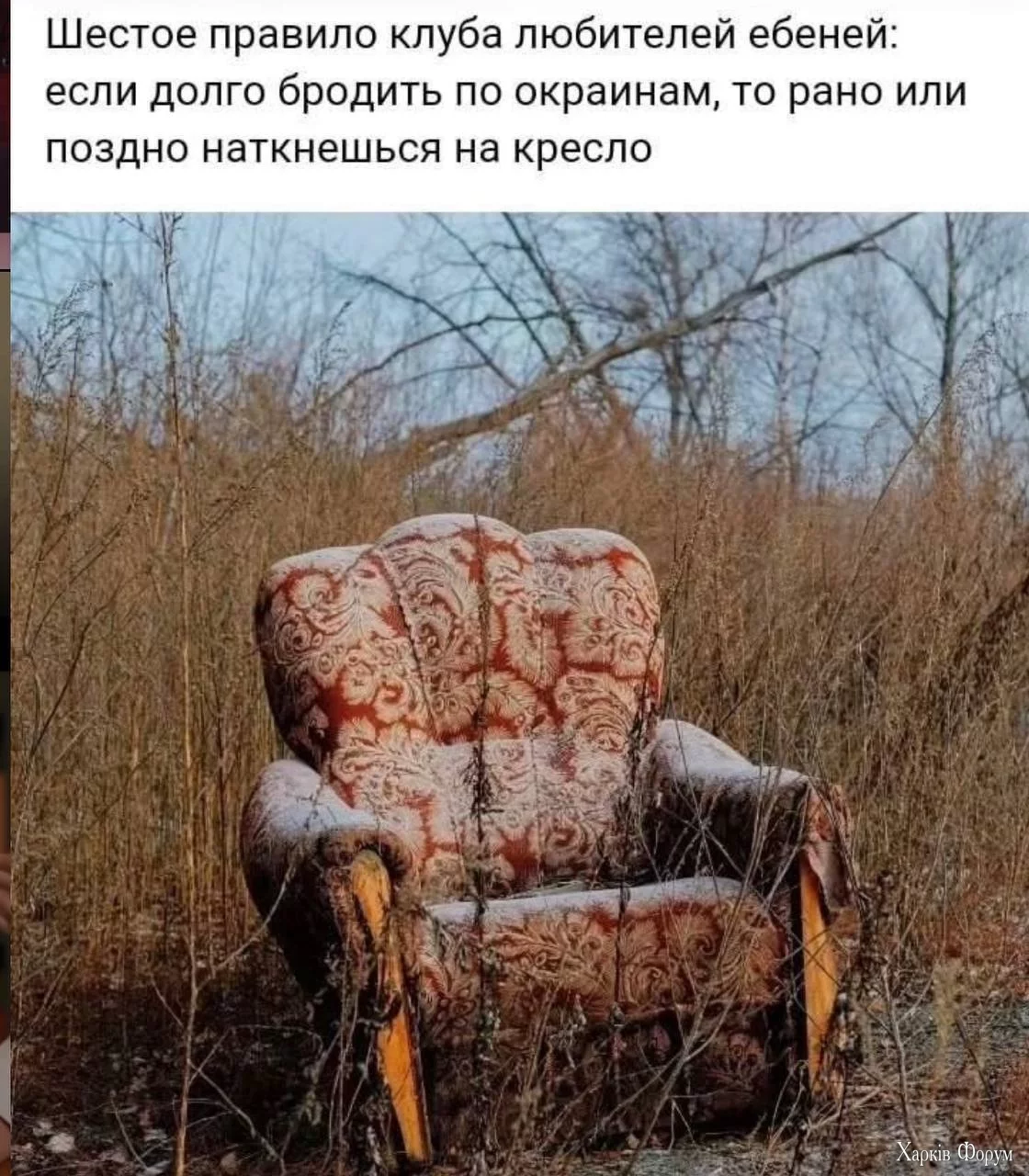 20250630_112213.webp