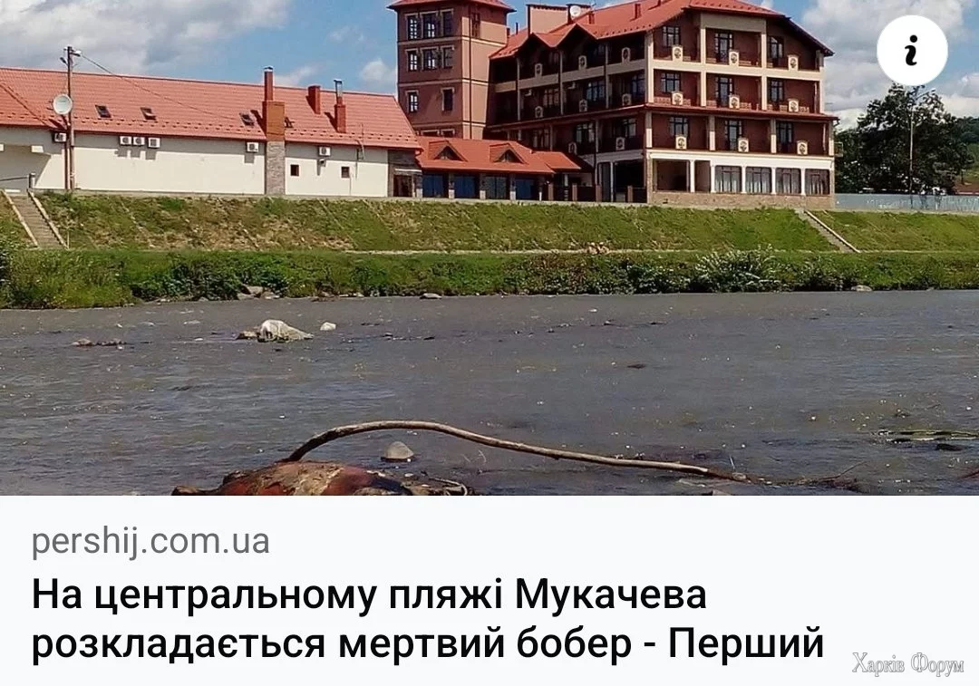20250630_190333.webp