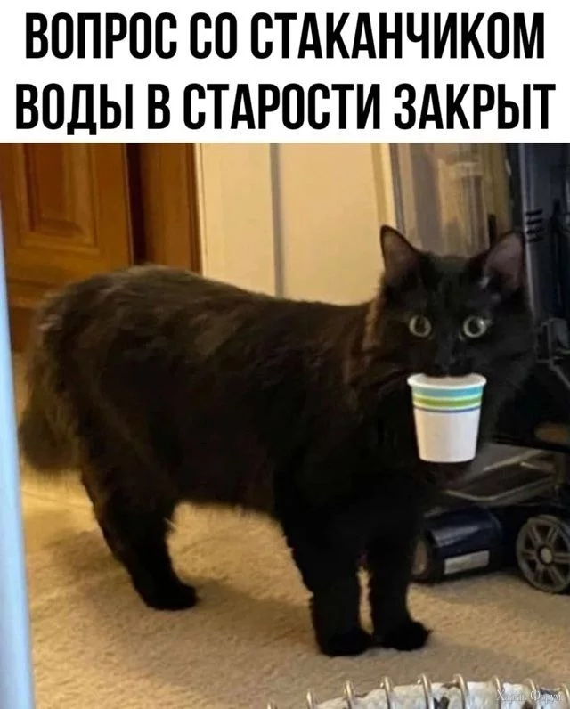 20250701_113214.webp