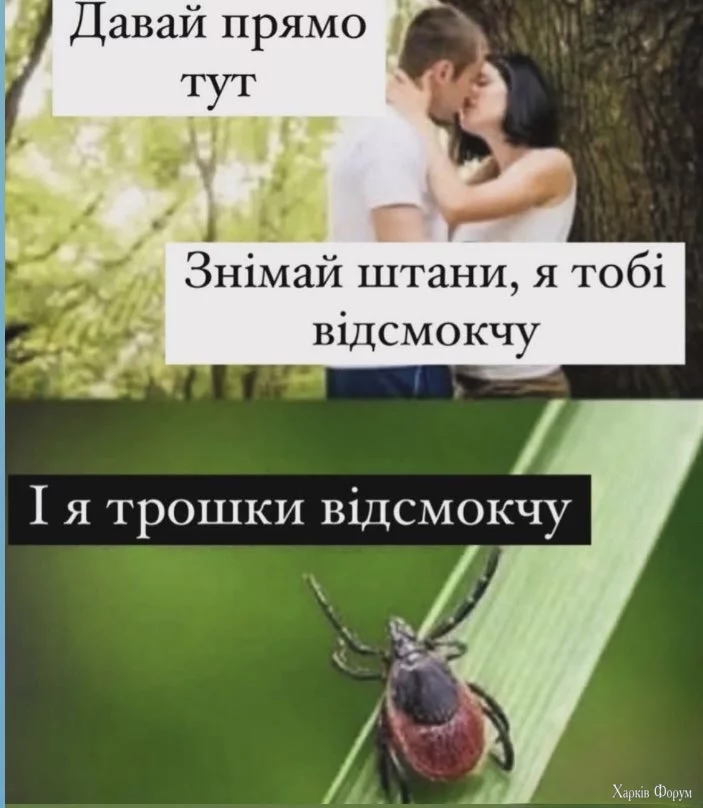 20250704_183738.jpg