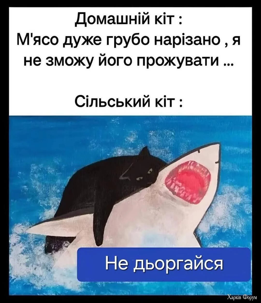 20250717_110503.webp
