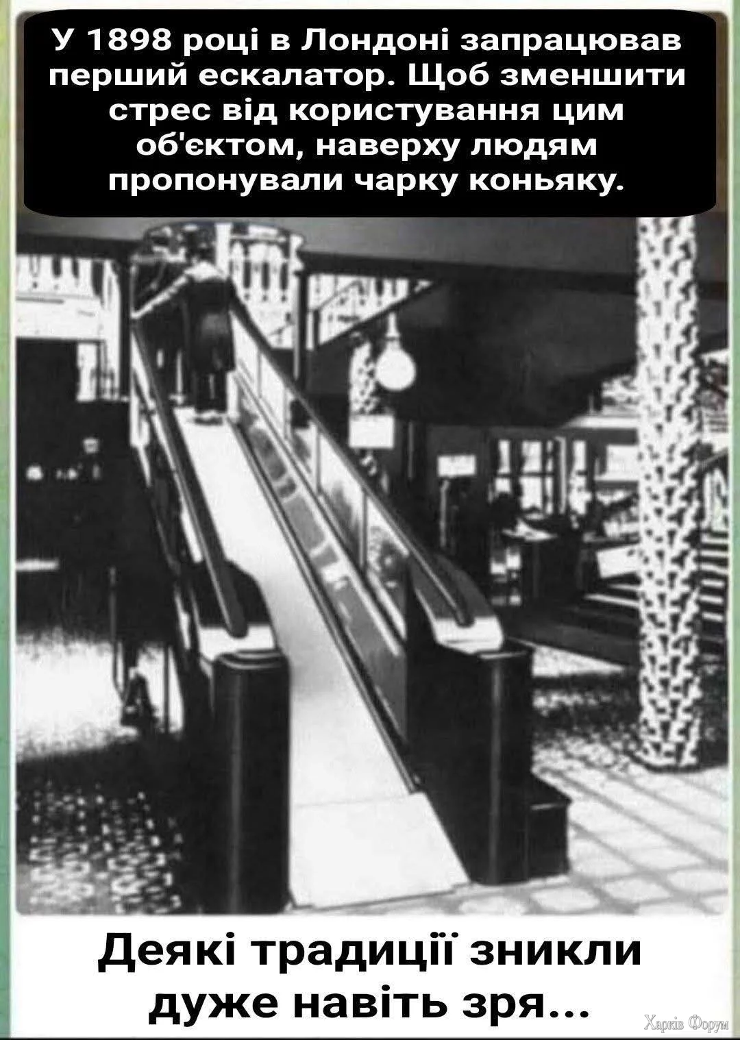 20250717_110726.webp