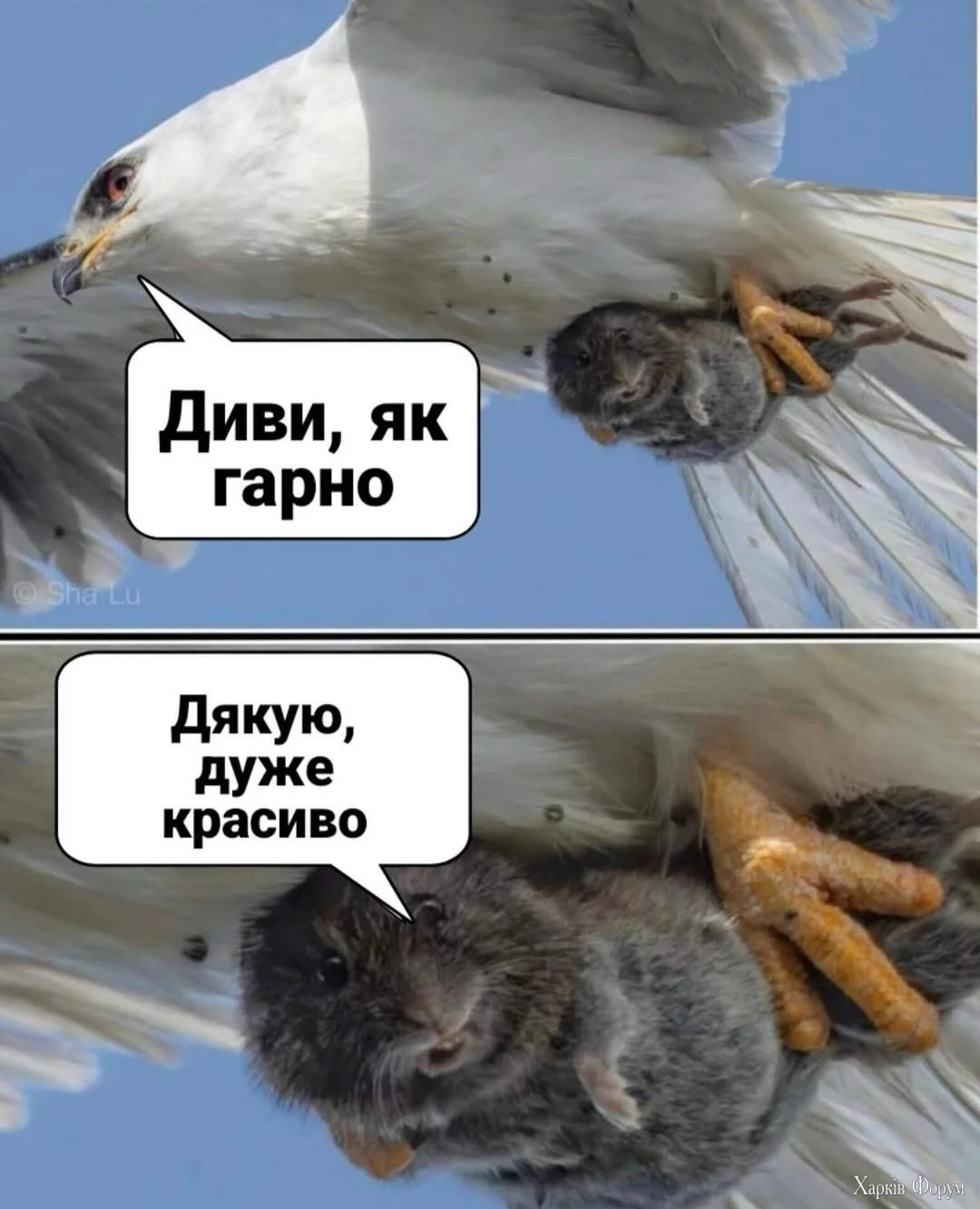 20250717_113947.webp