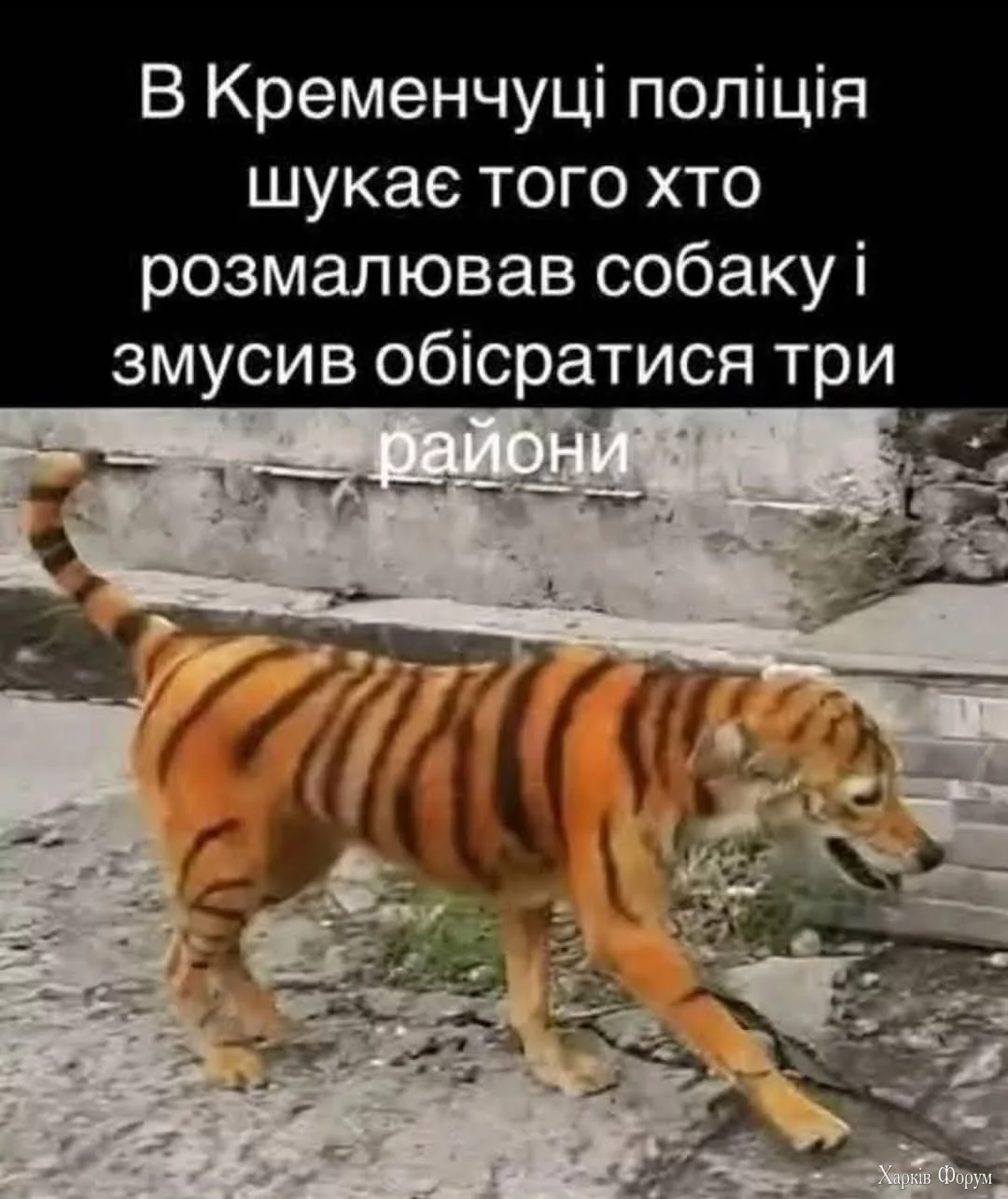 20250725_203747.webp