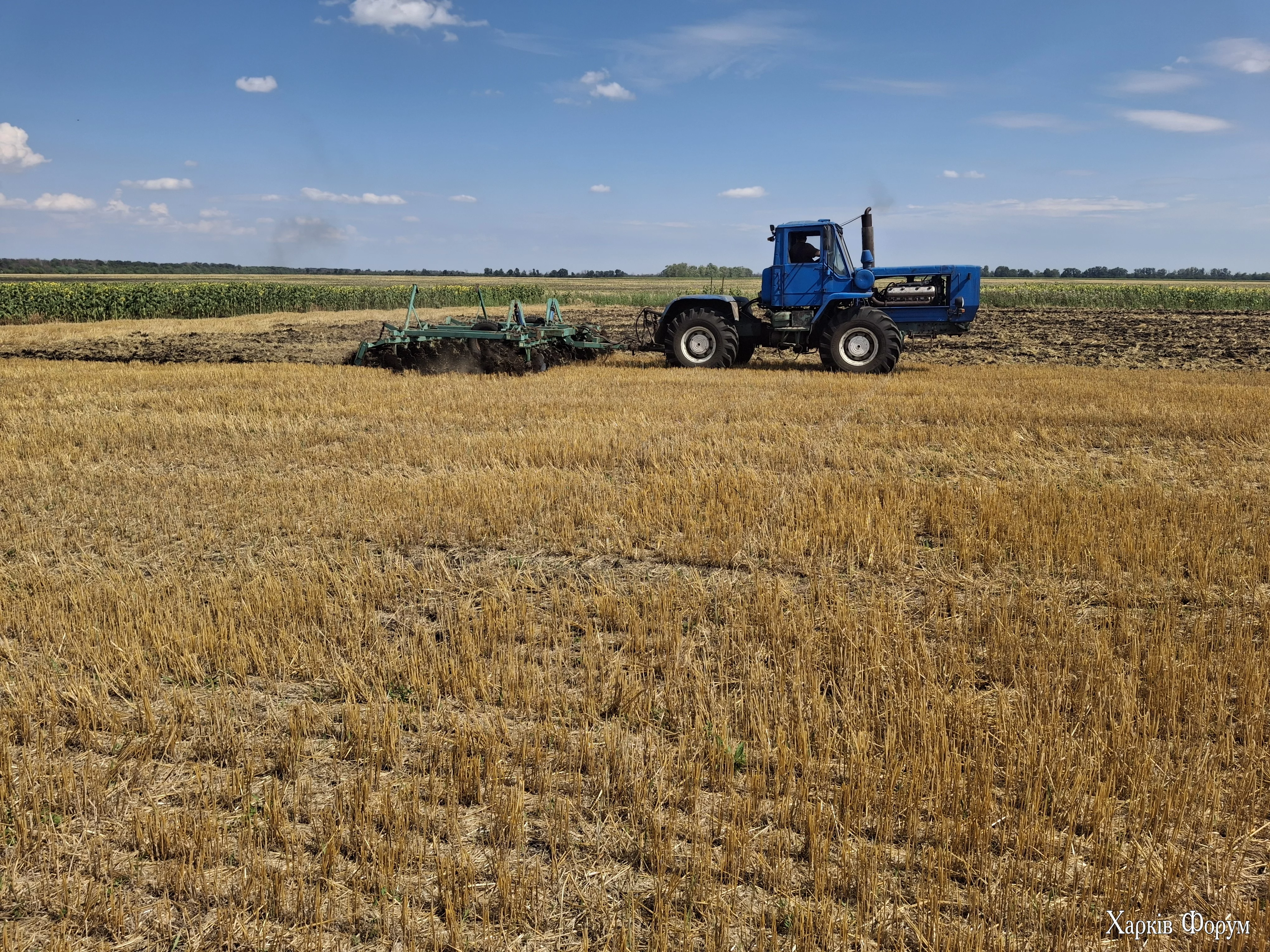 20250726_144317.webp 20250726_144317.webp