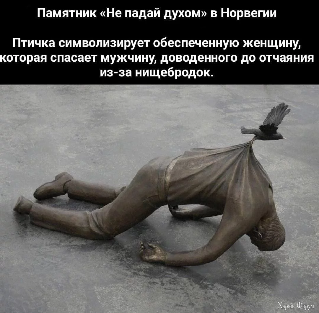 20250728_050232.webp