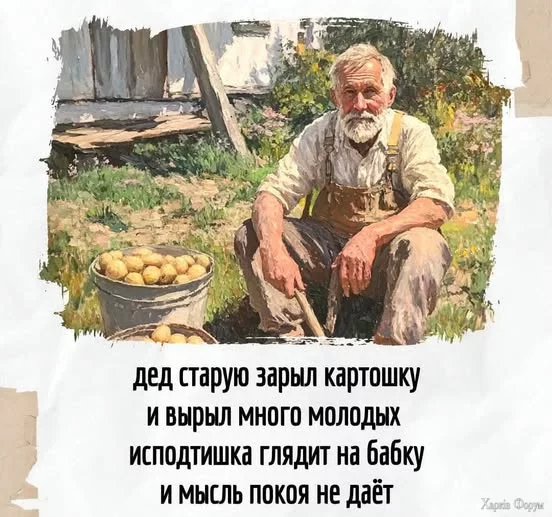 20250729_170053.webp