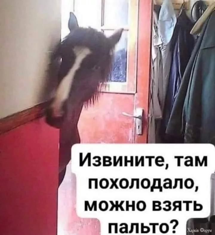 20250729_202751.webp