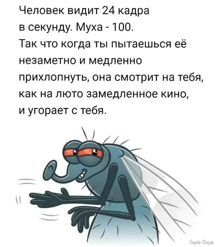 20250730_210250.webp
