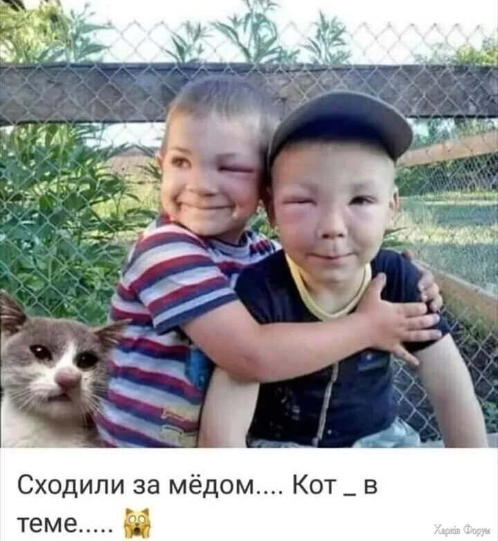 20250801_043659.webp