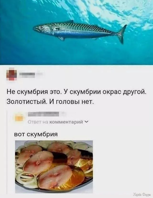 20250802_174953.webp