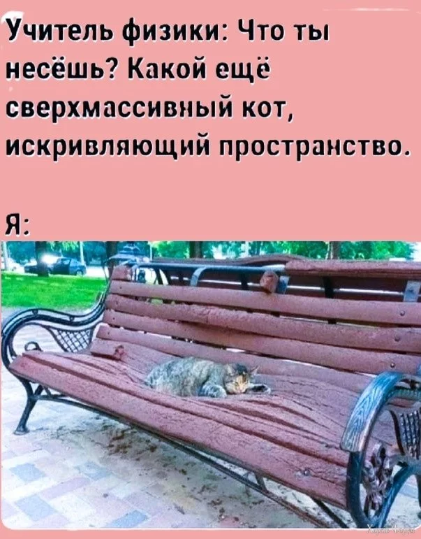 20250804_082543.webp