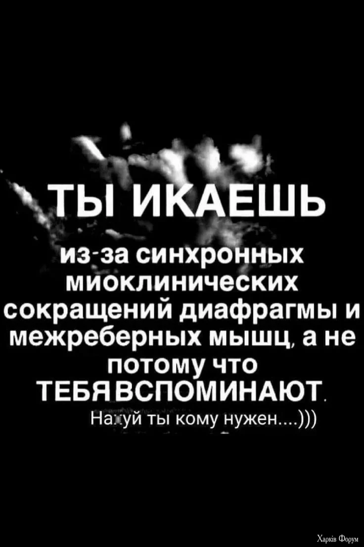 20250804_160814.webp
