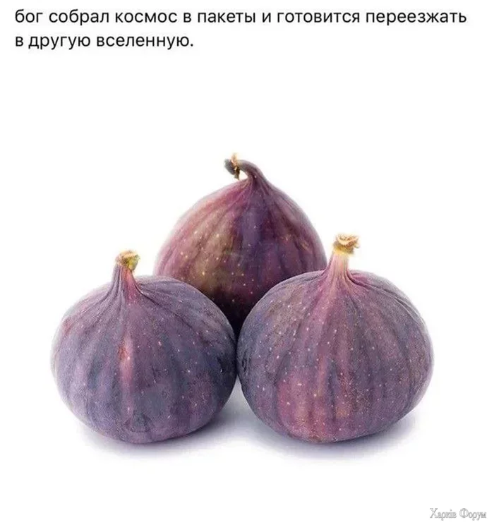 20250811_182620.webp