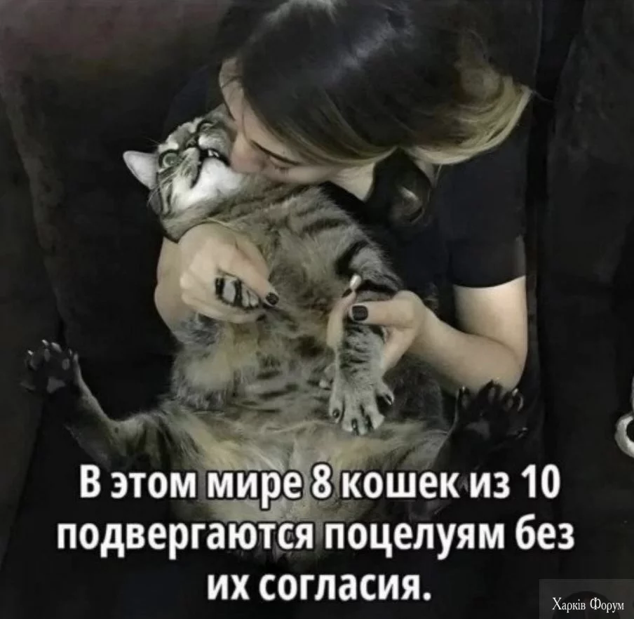 20250817_140017.webp