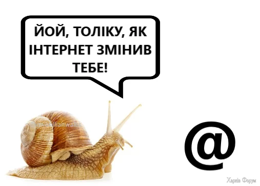 20250817_203302.webp