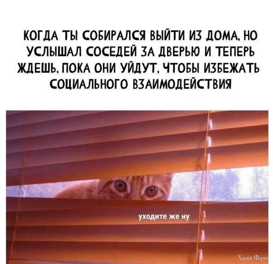 20250906_064503.webp