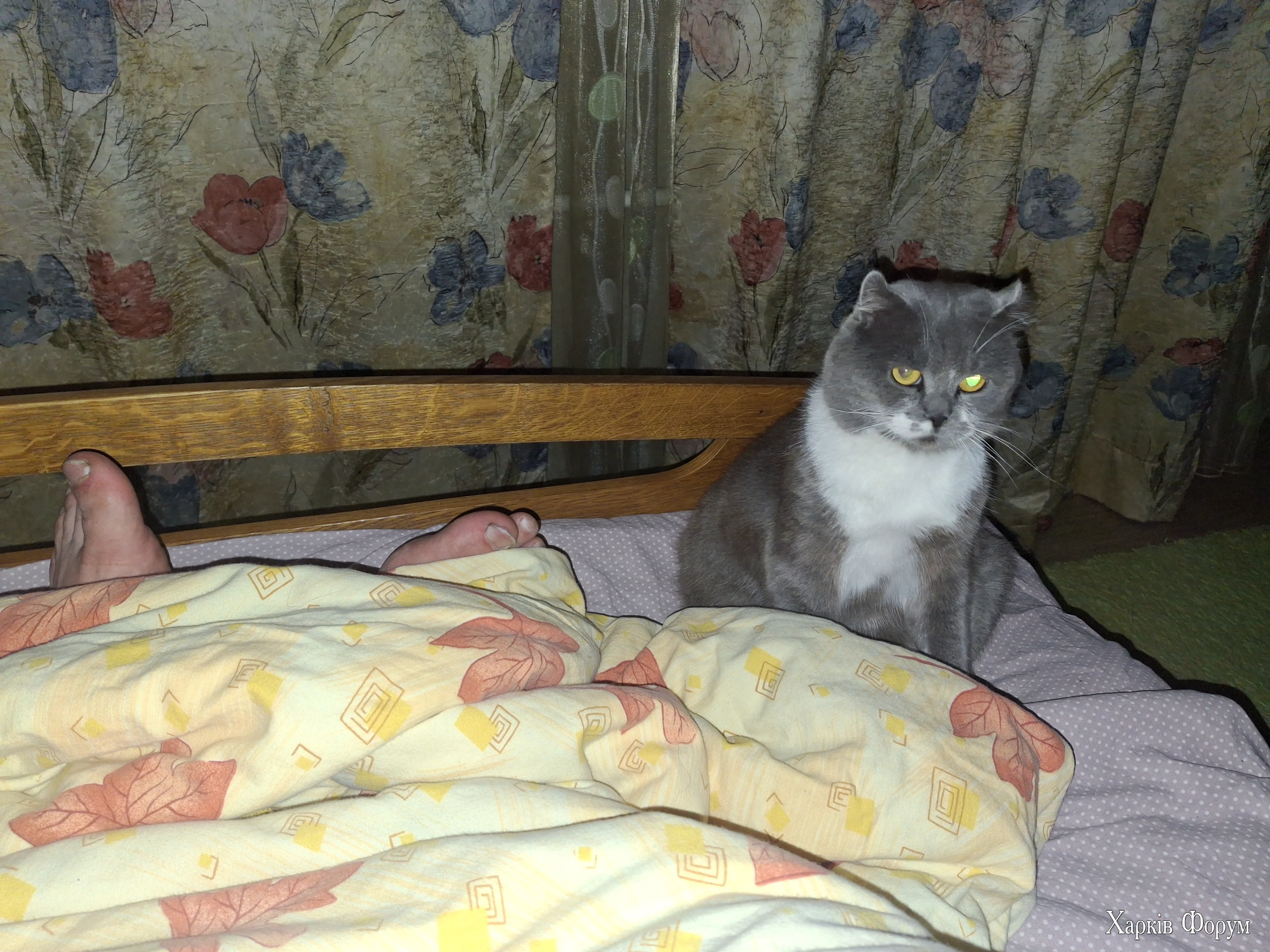 20250924_210734.webp