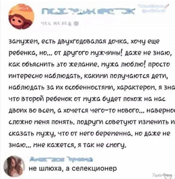 20250929_201738.webp