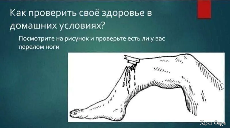 20251005_182028.webp