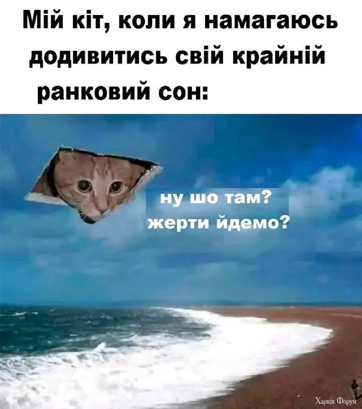 20251010_184658.webp