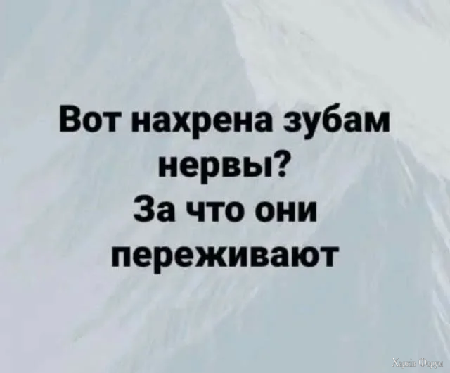 20251013_121159.webp