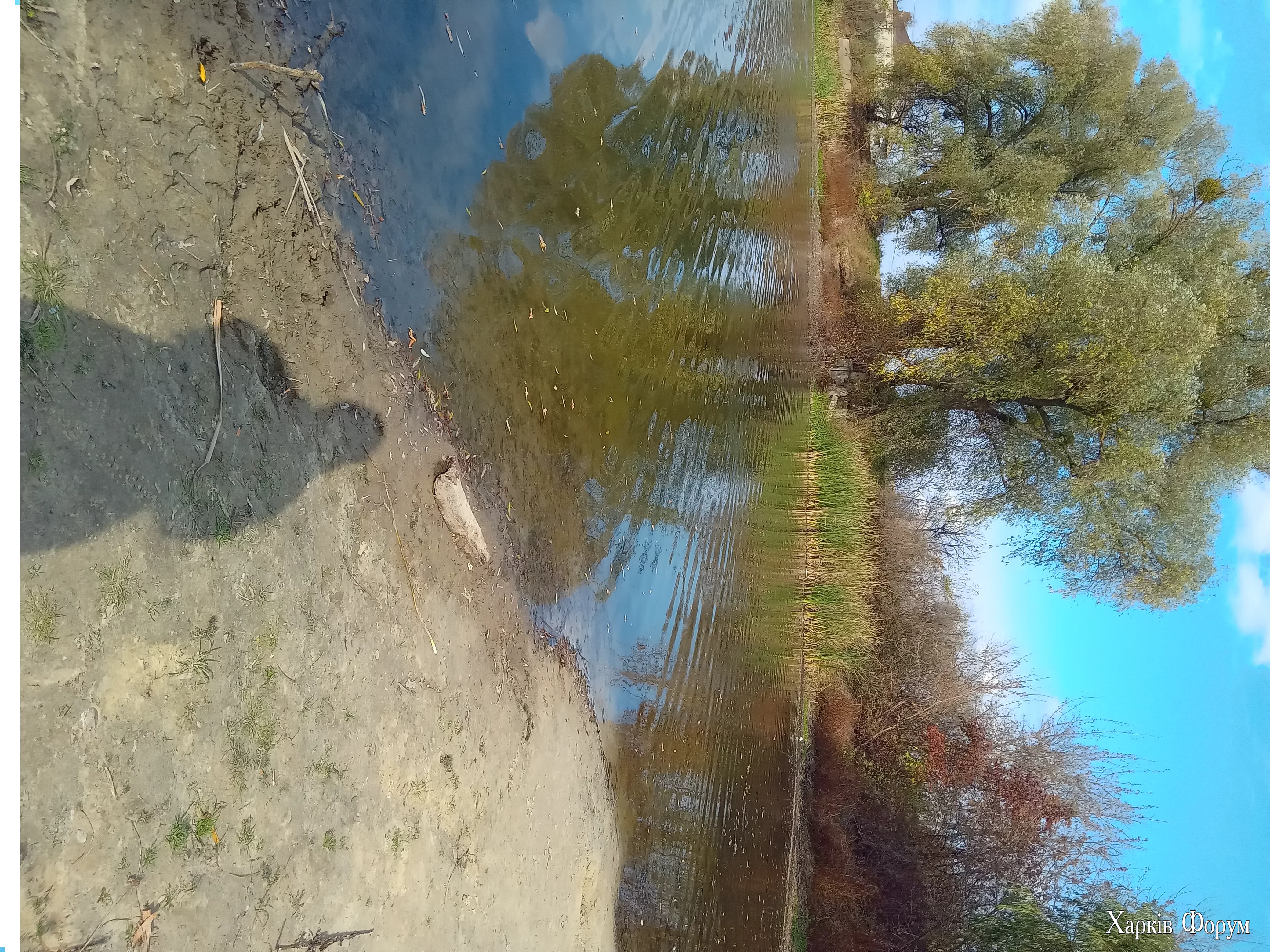 20251019_125523.webp