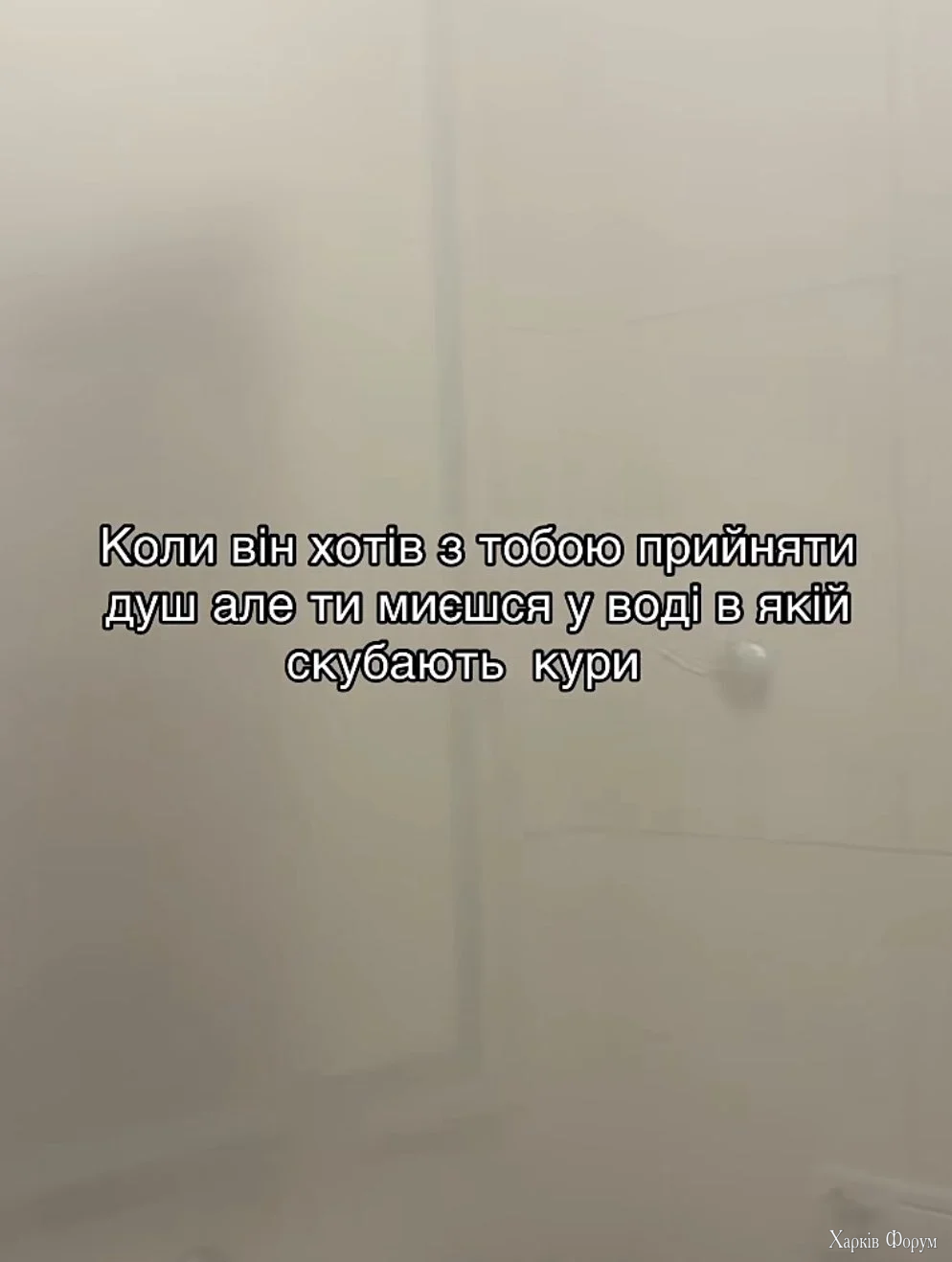 20251231_165607.webp