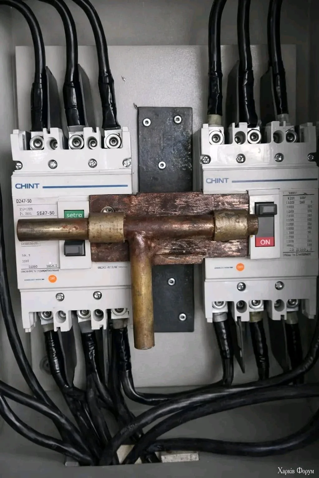 20260224_214248.webp