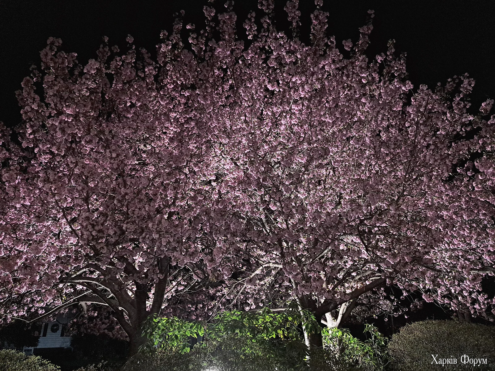 20260416_203940.webp