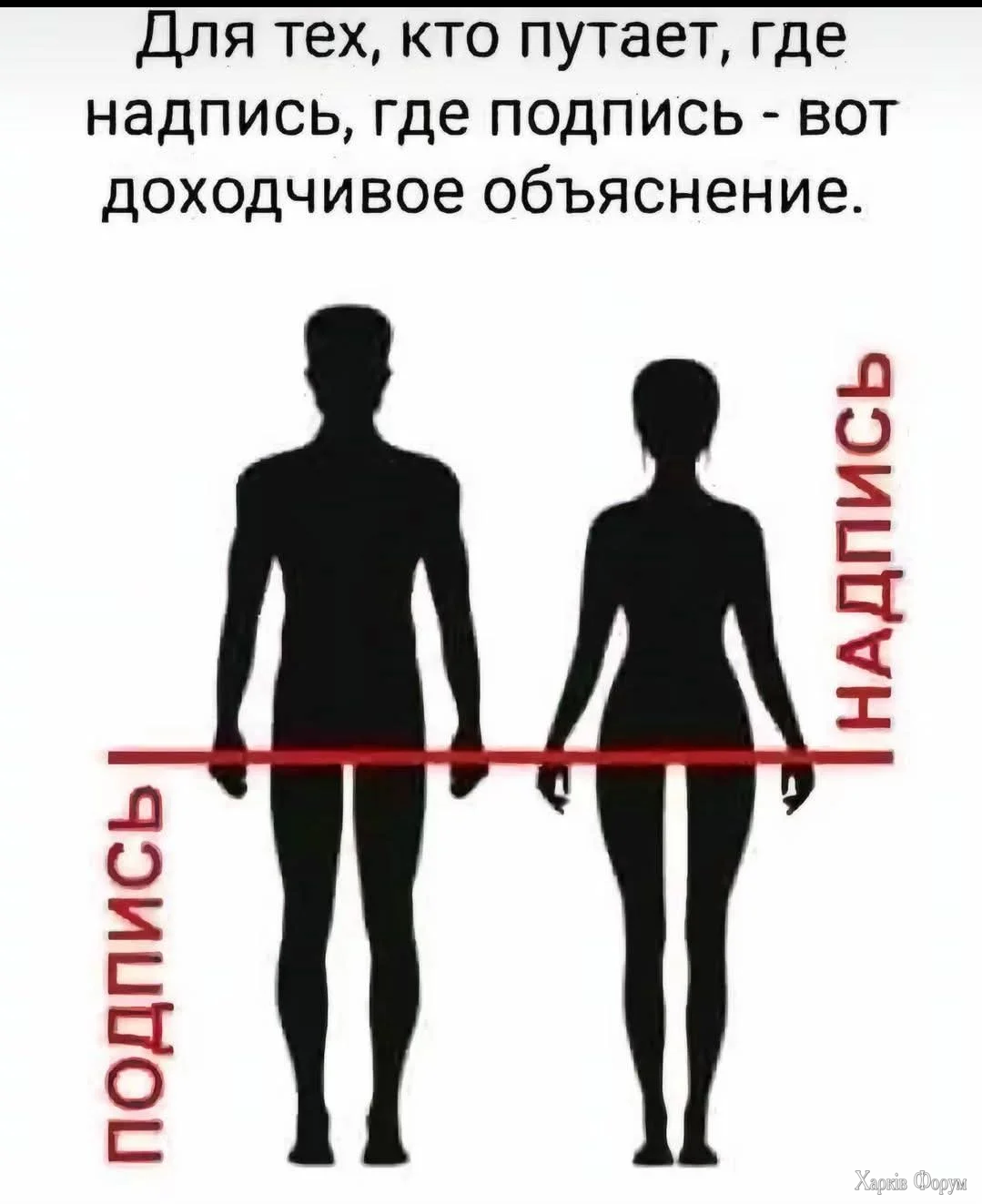 20260426_203945.webp