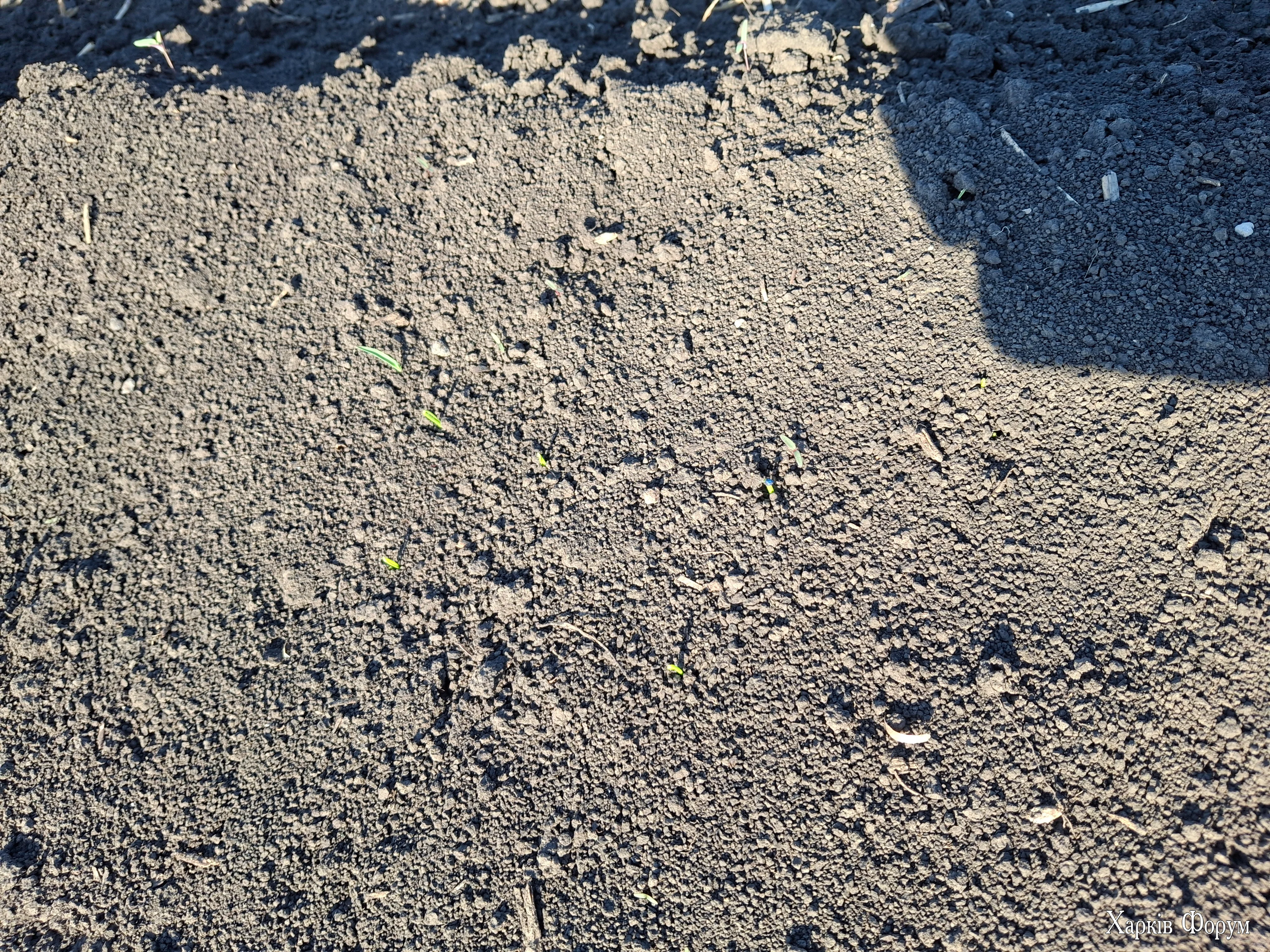 20260508_080358.webp