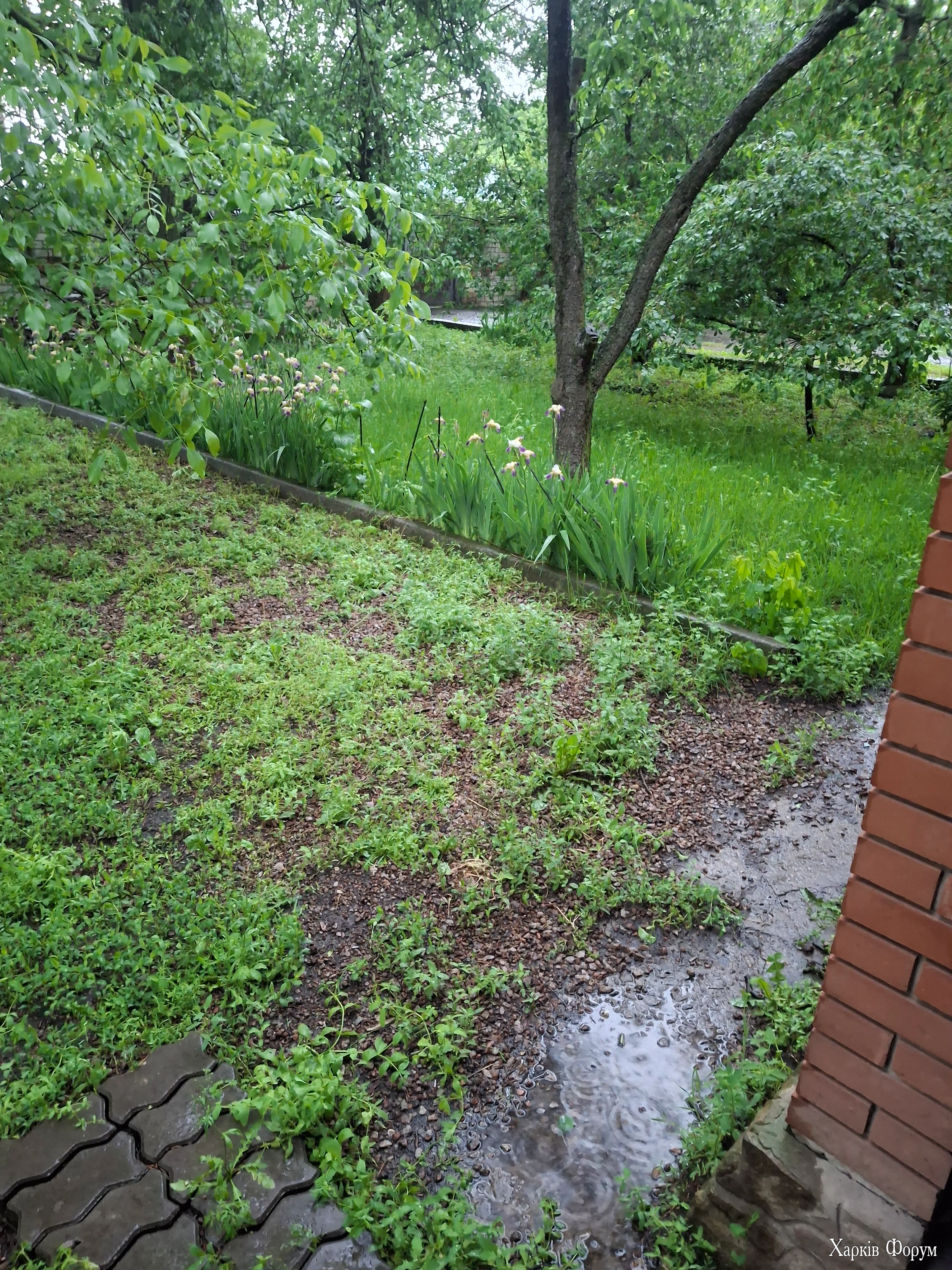 20260523_163053.webp