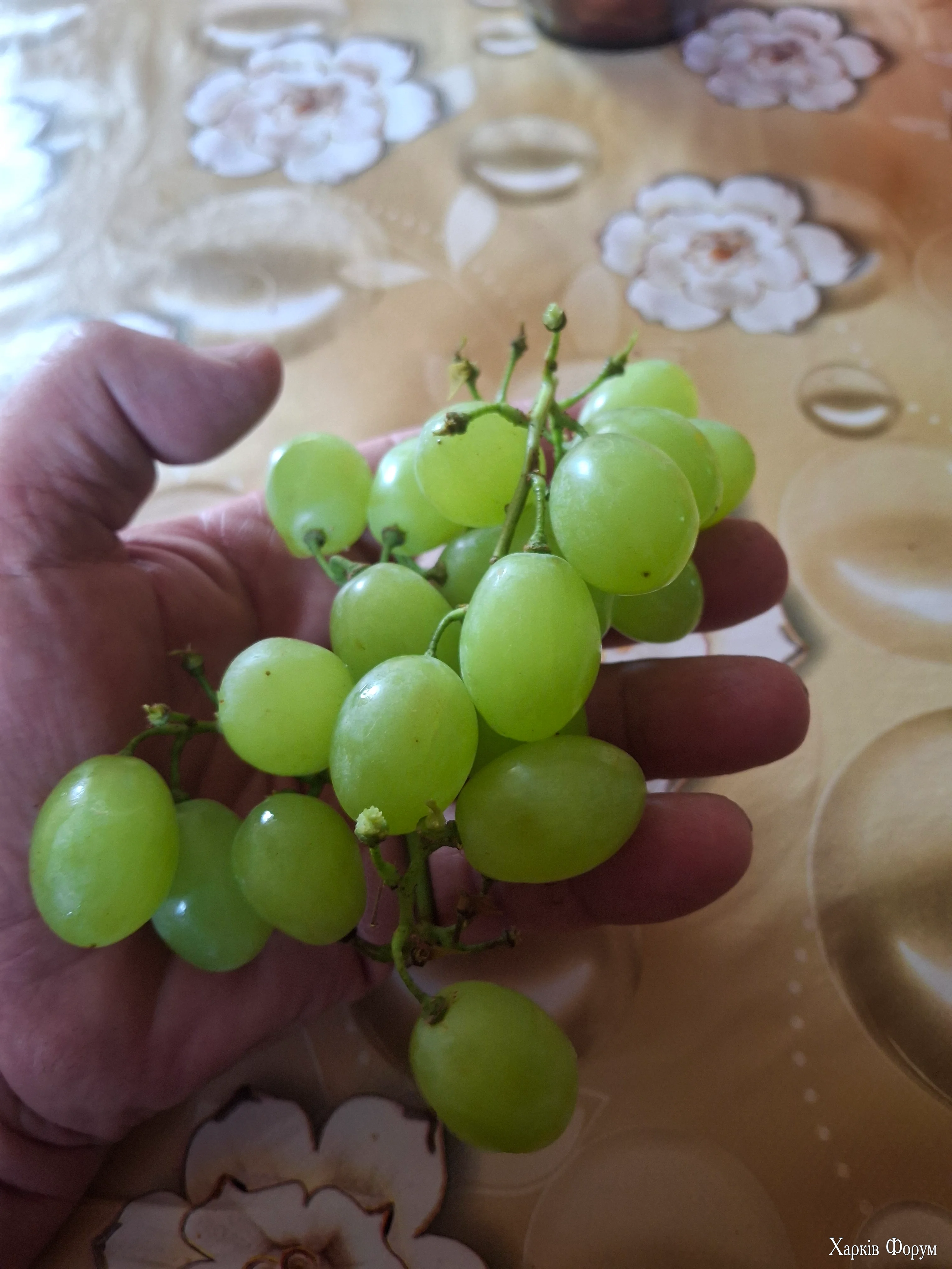 20260526_080250.webp