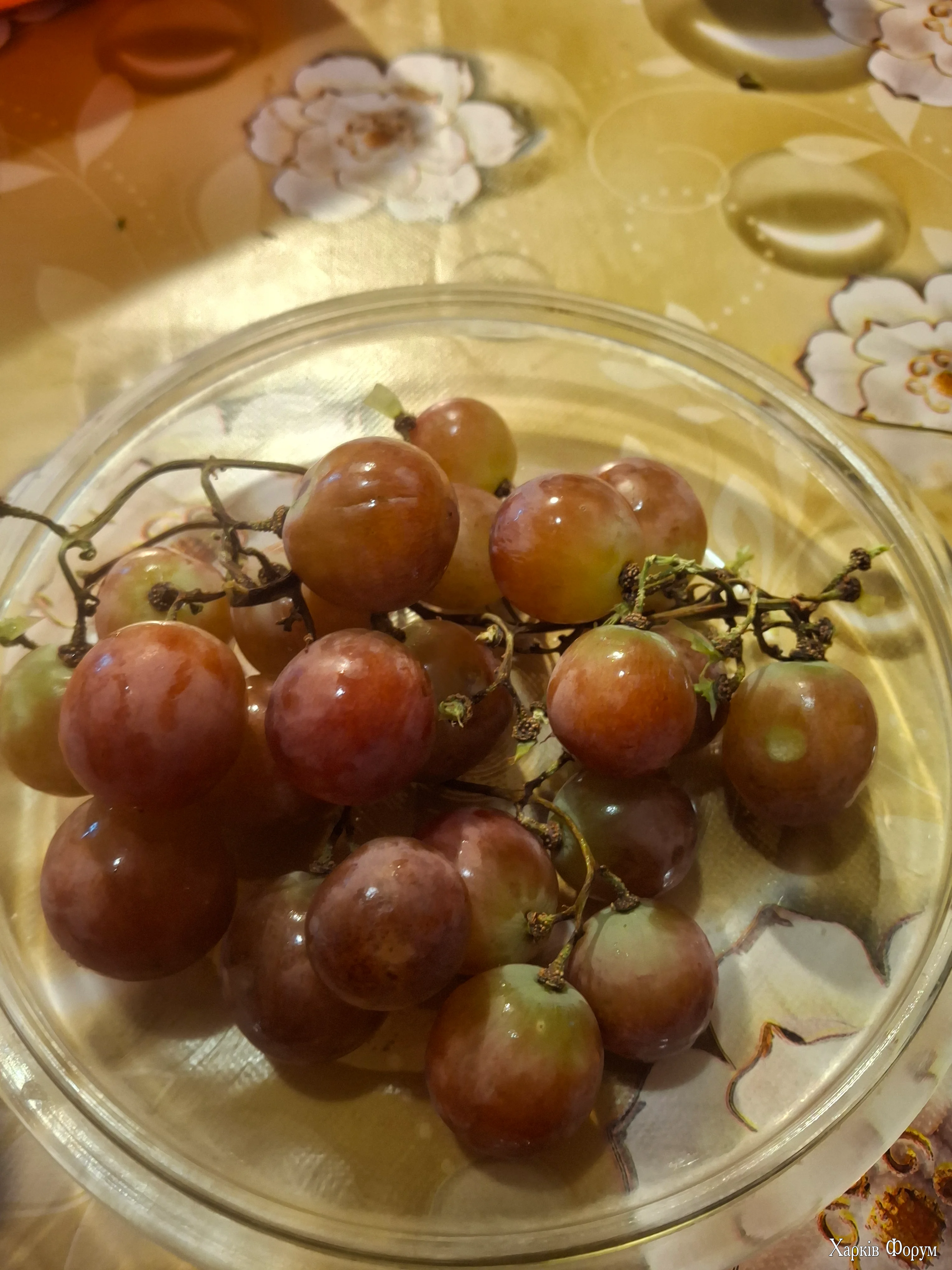 20260601_175800.webp