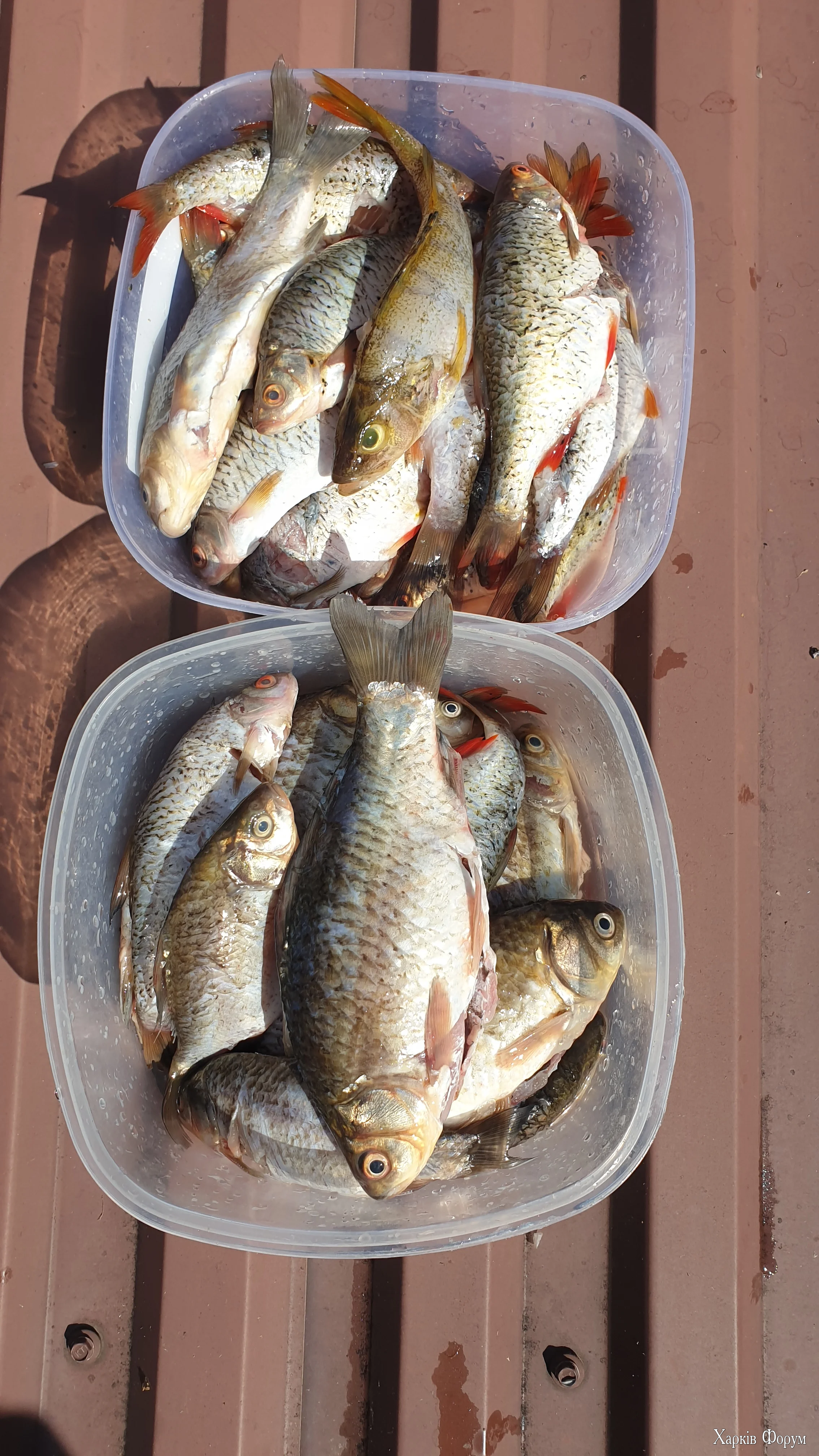 20260606_160158.webp
