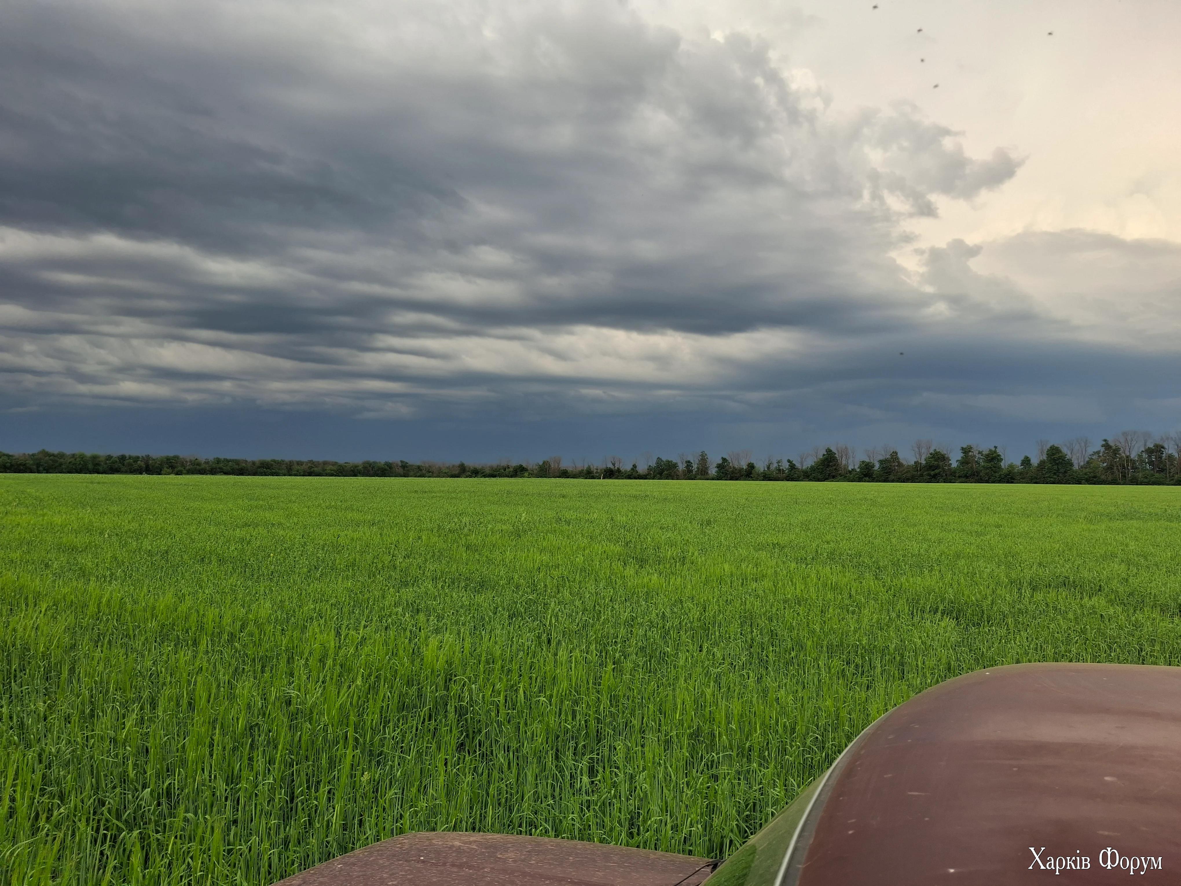 20260612_192658.webp