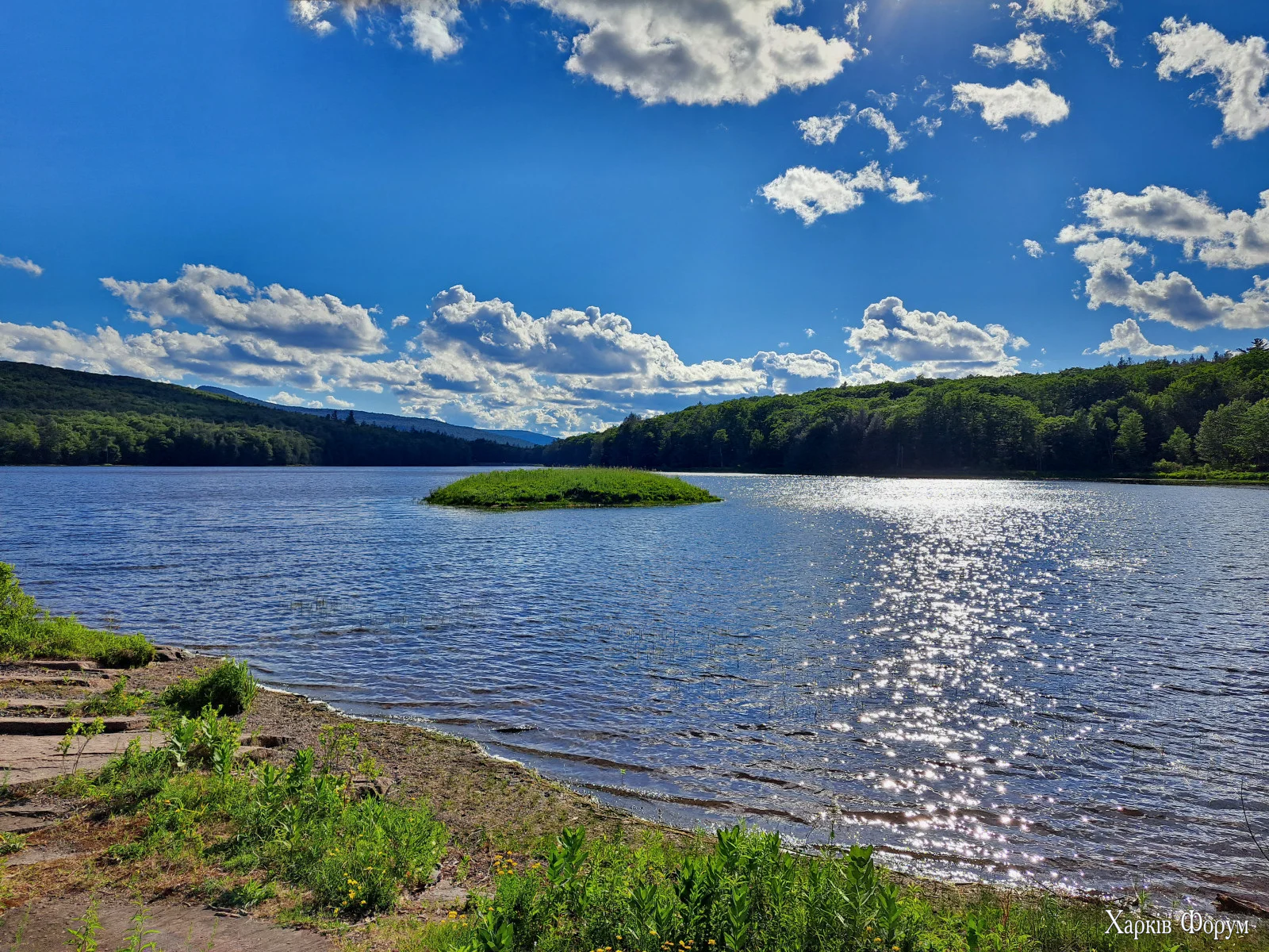 20260620_174139.webp
