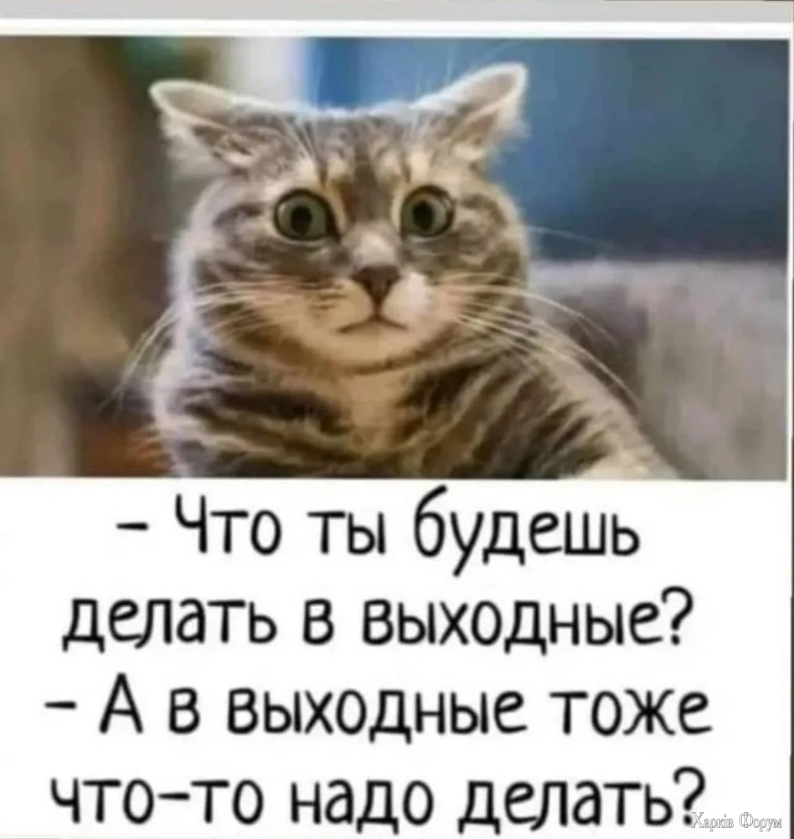 20260628_220132.webp
