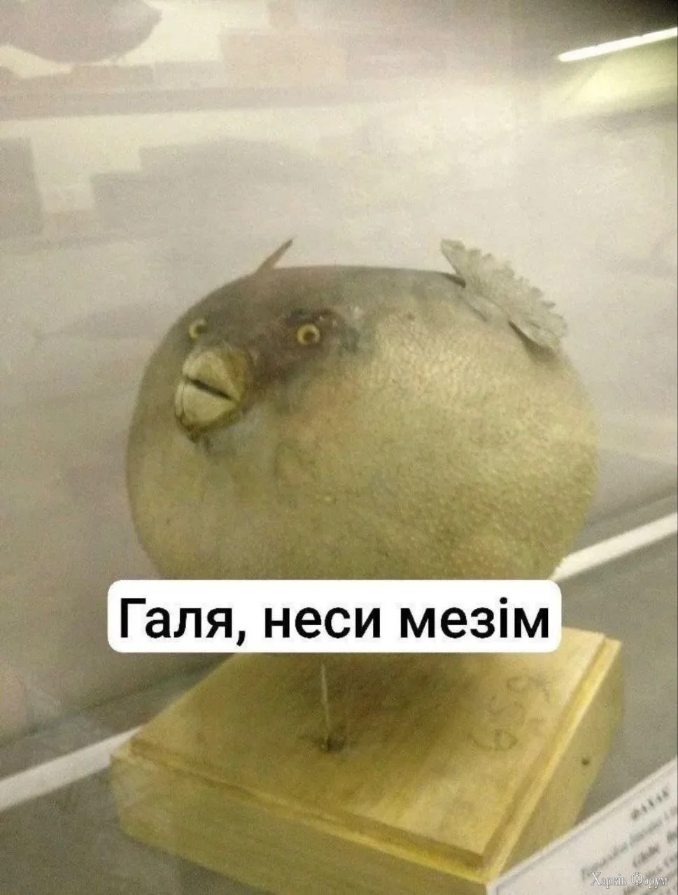 20260712_202655.webp